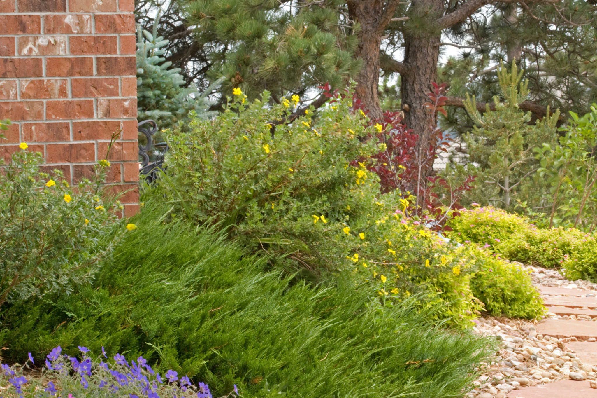 Water-Efficient Landscaping Can Still Look Beautiful