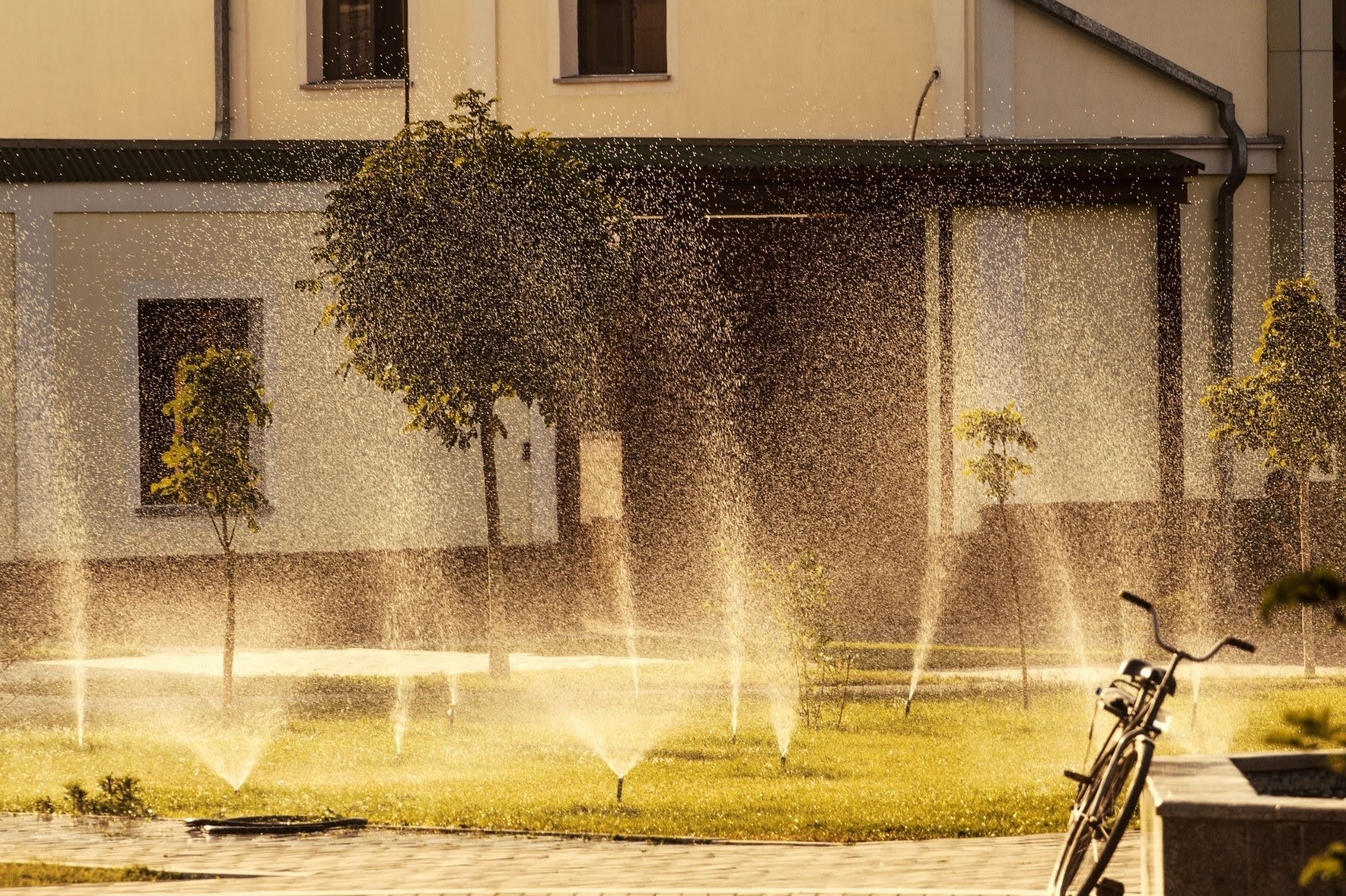 5. Your Irrigation Controller Is Outdated or Set to the Wrong Schedule