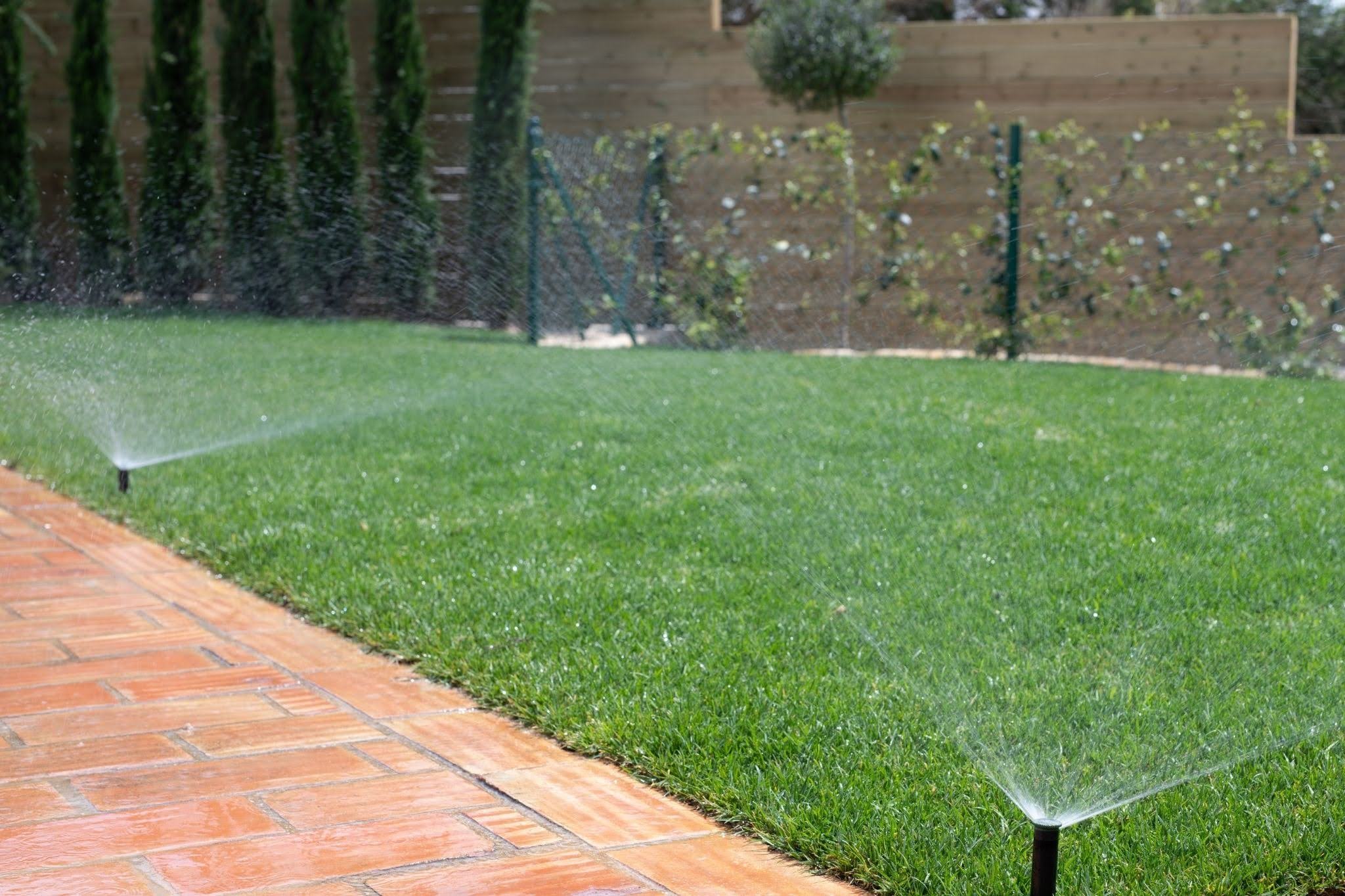 Keep Your Central Utah Landscape Healthy Without Wasting Water