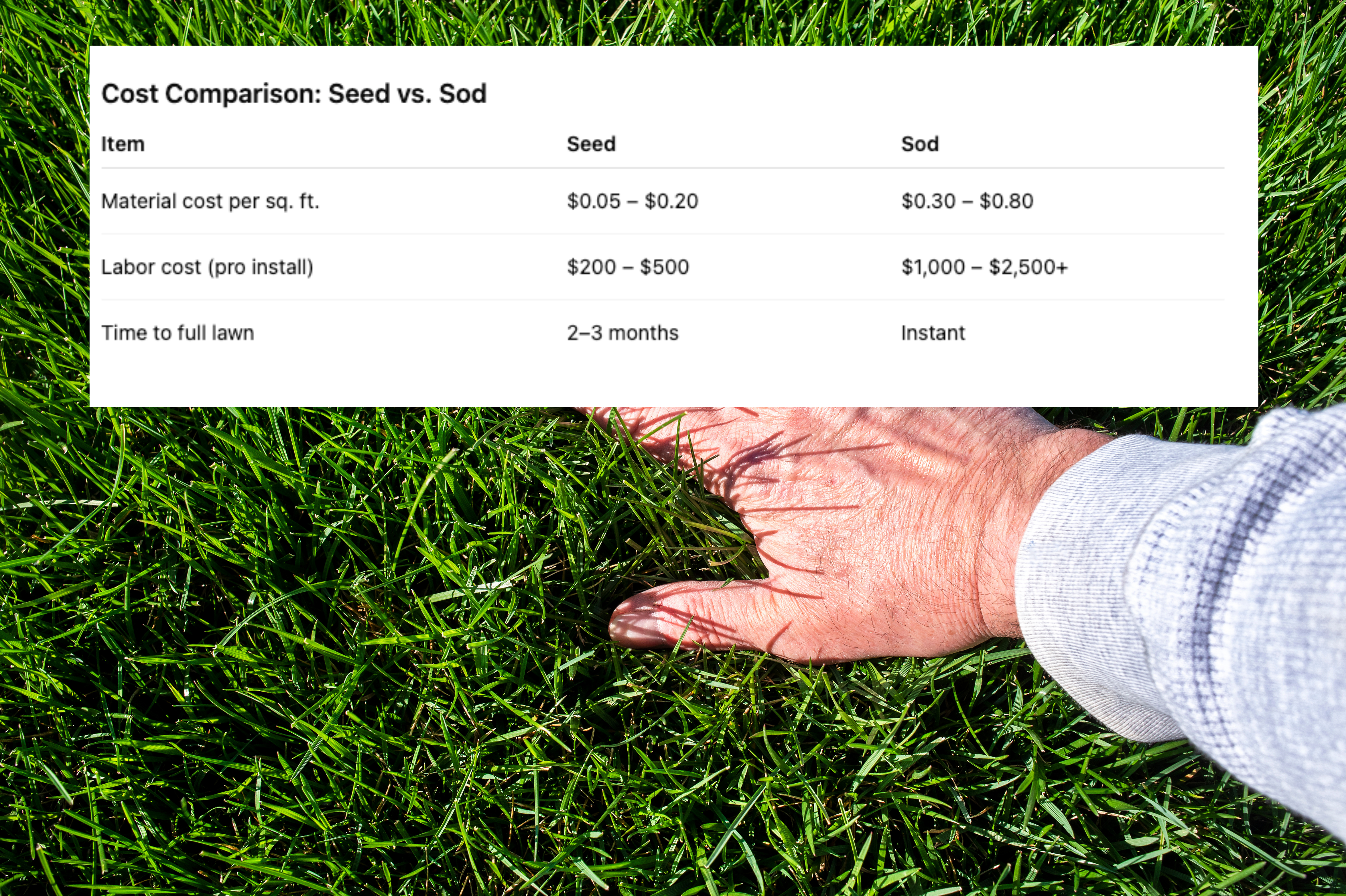 Cost comparison—seed vs. sod