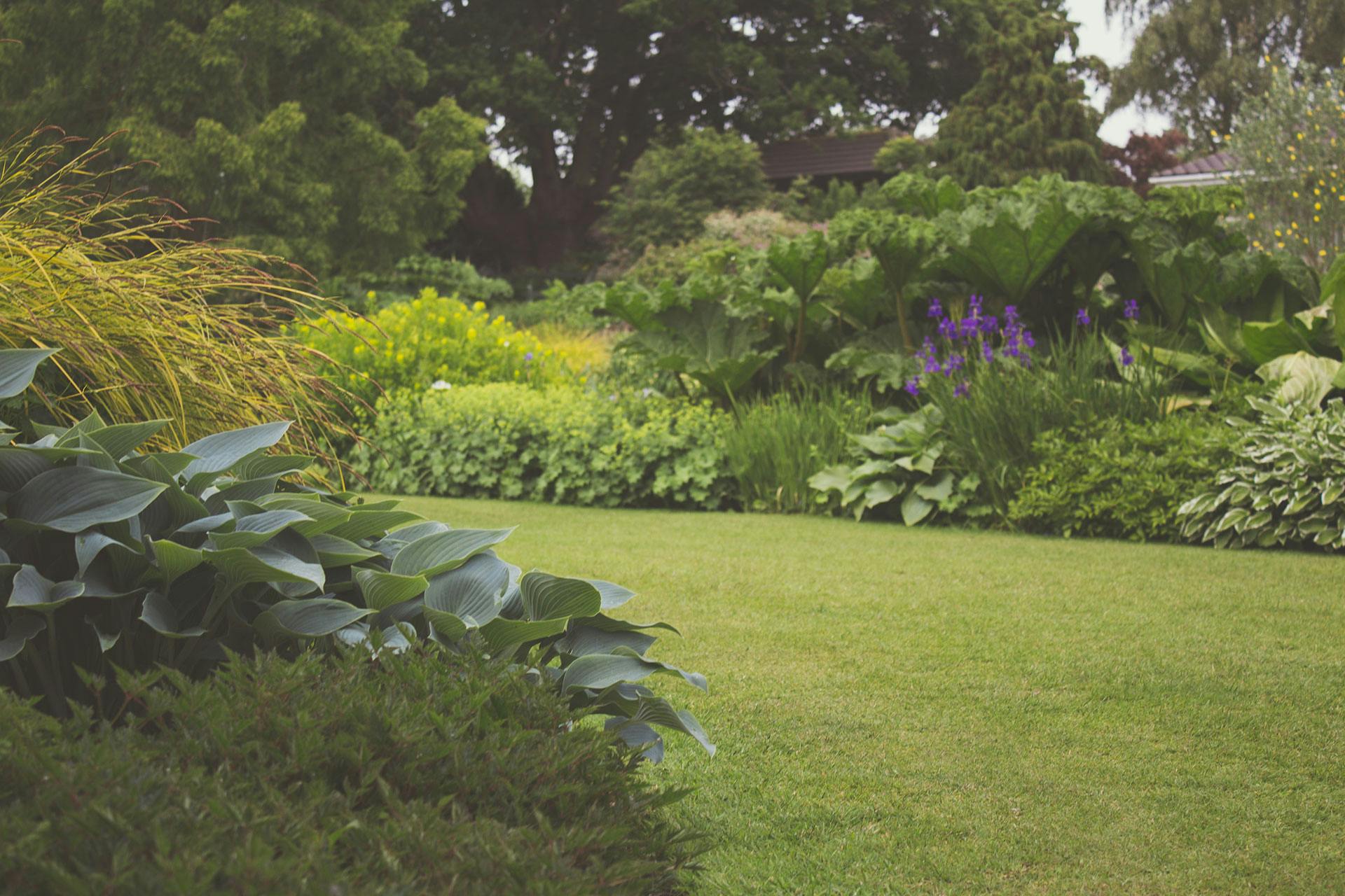 Professionally landscaped residential backyard