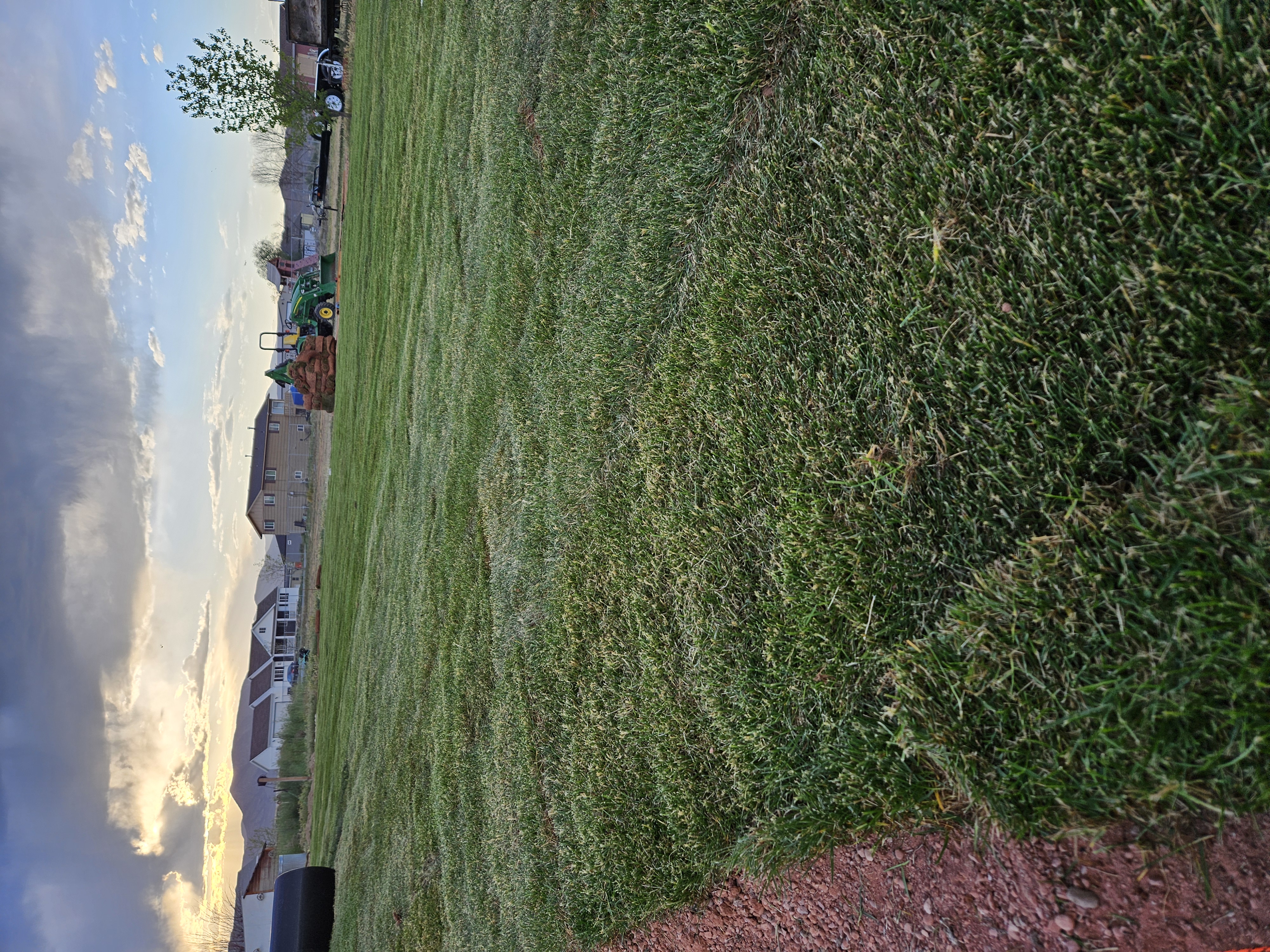 Freshly installed sod on a residential lawn in Southern Utah