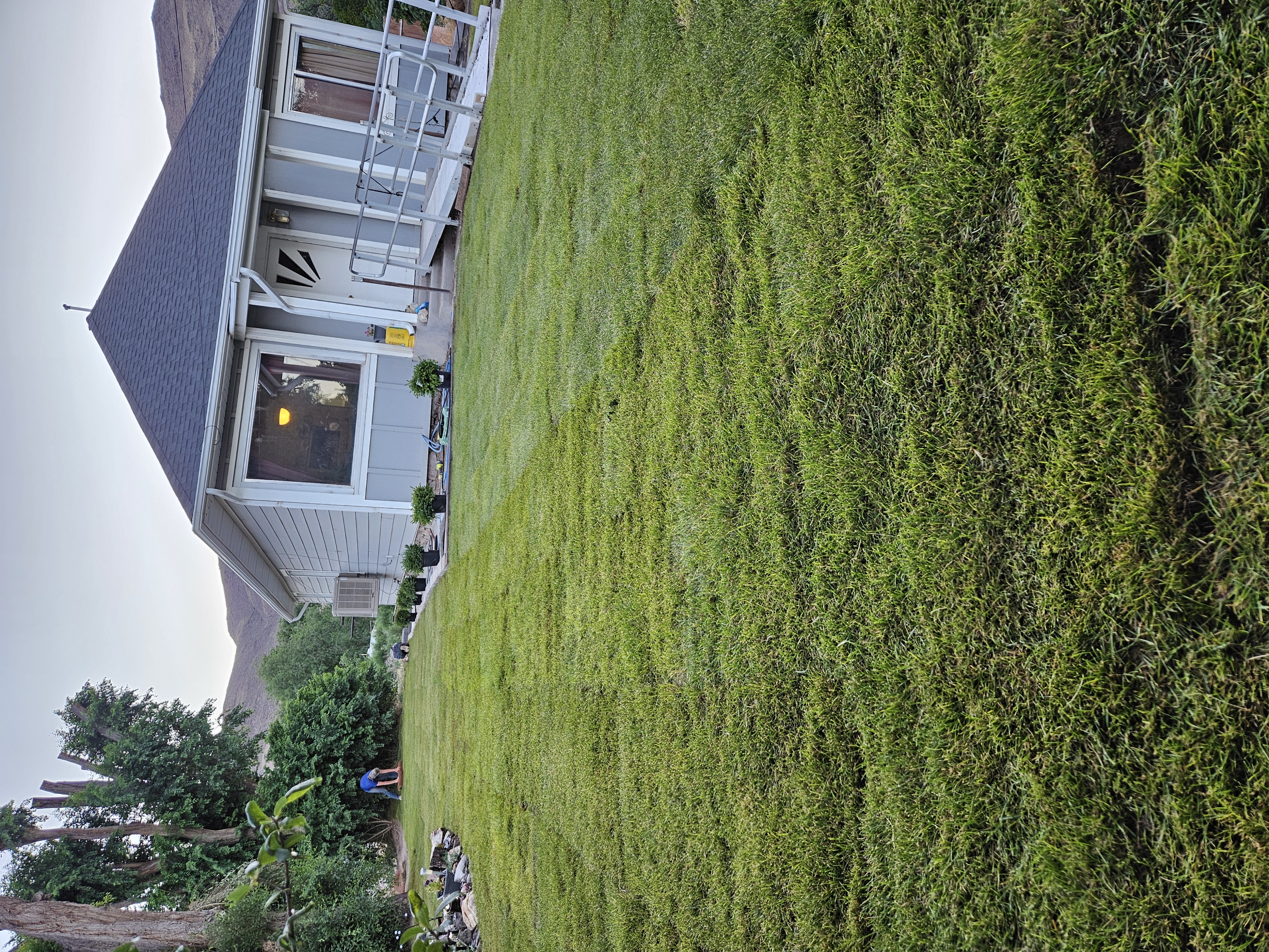Landscape renovation with natural rock features and drought-tolerant plantings