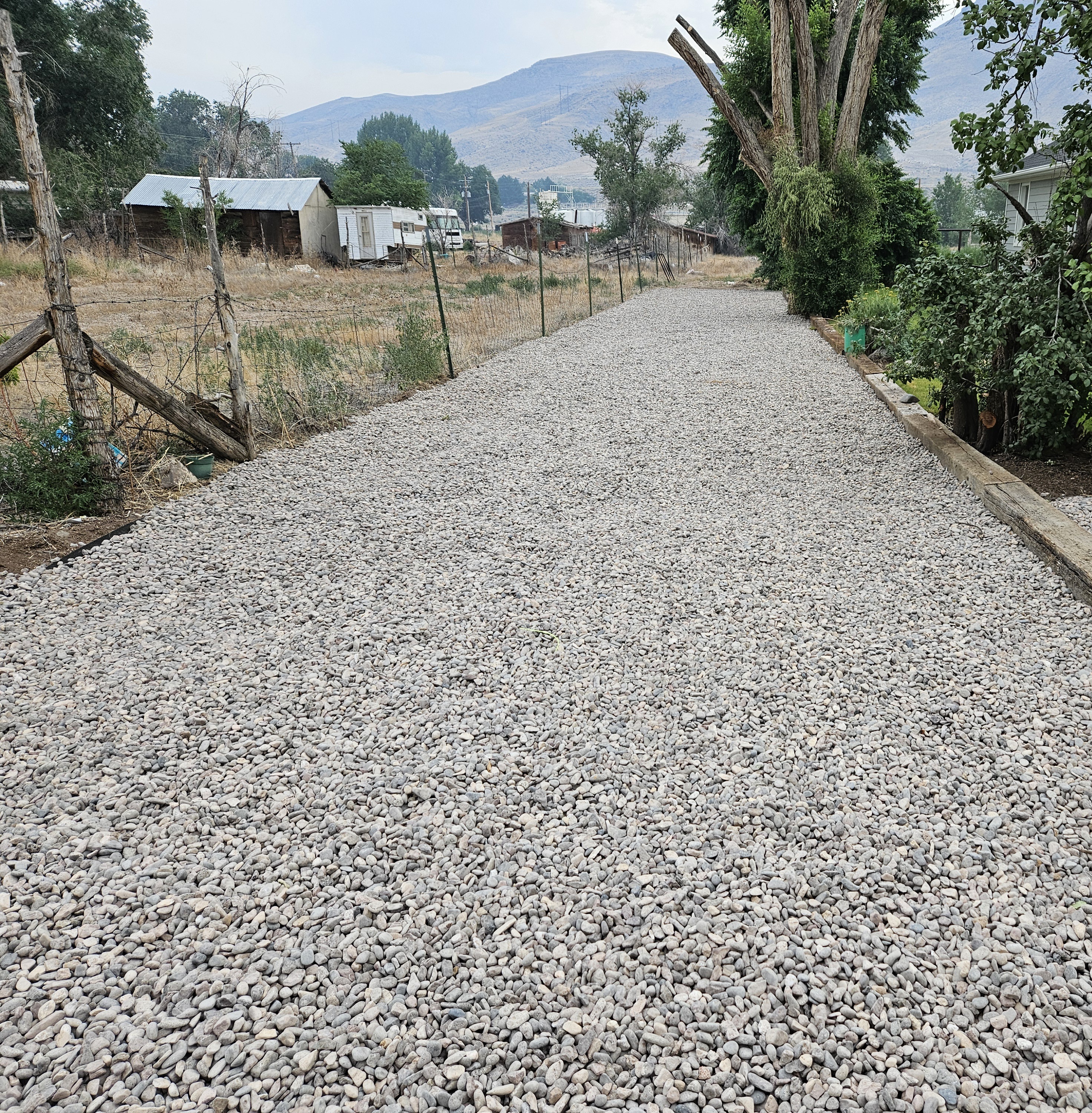 Custom outdoor patio area with concrete surface and surrounding landscape plantings