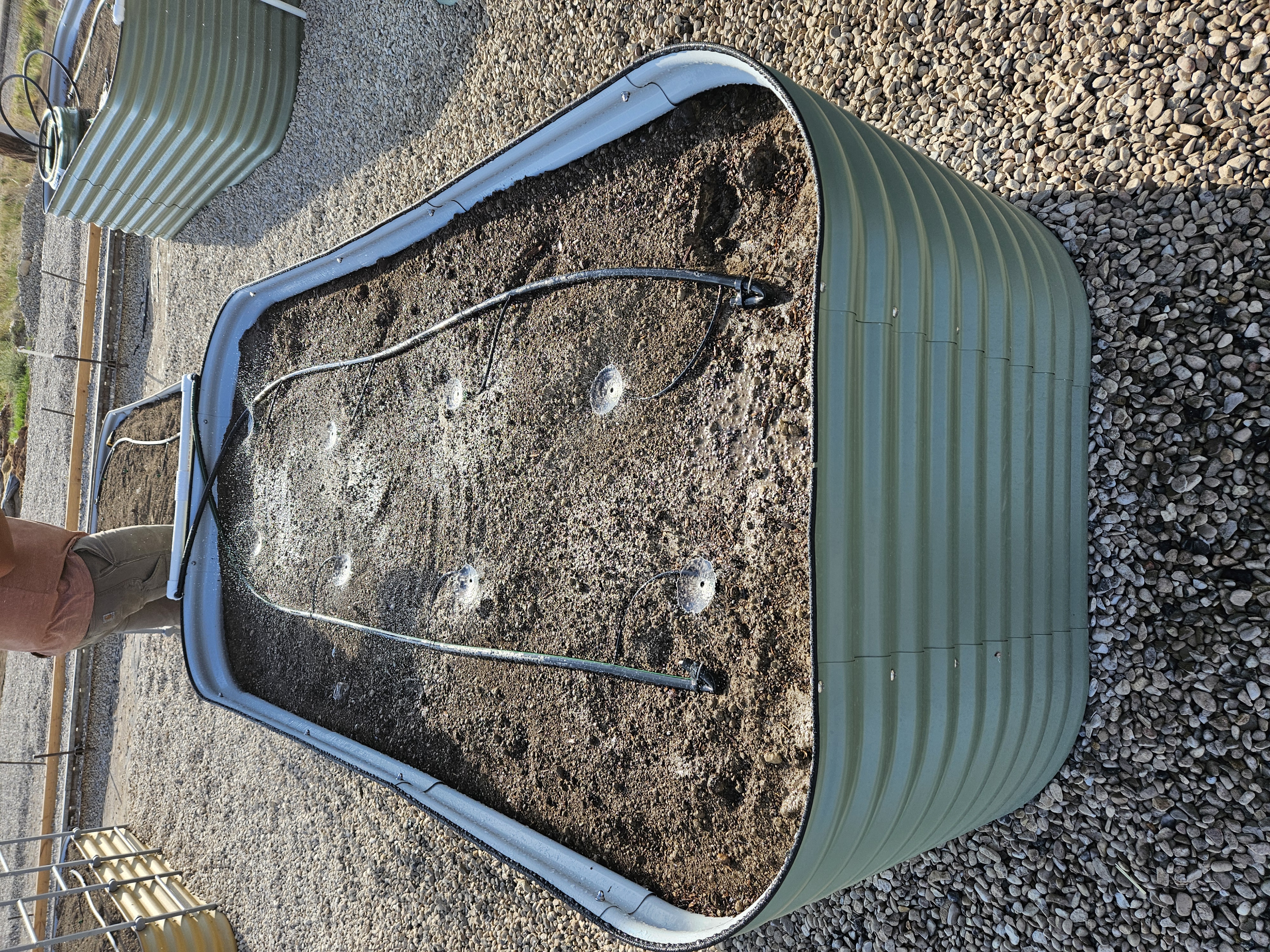 Lawn aeration and fertilization service on a residential lawn in Southern Utah
