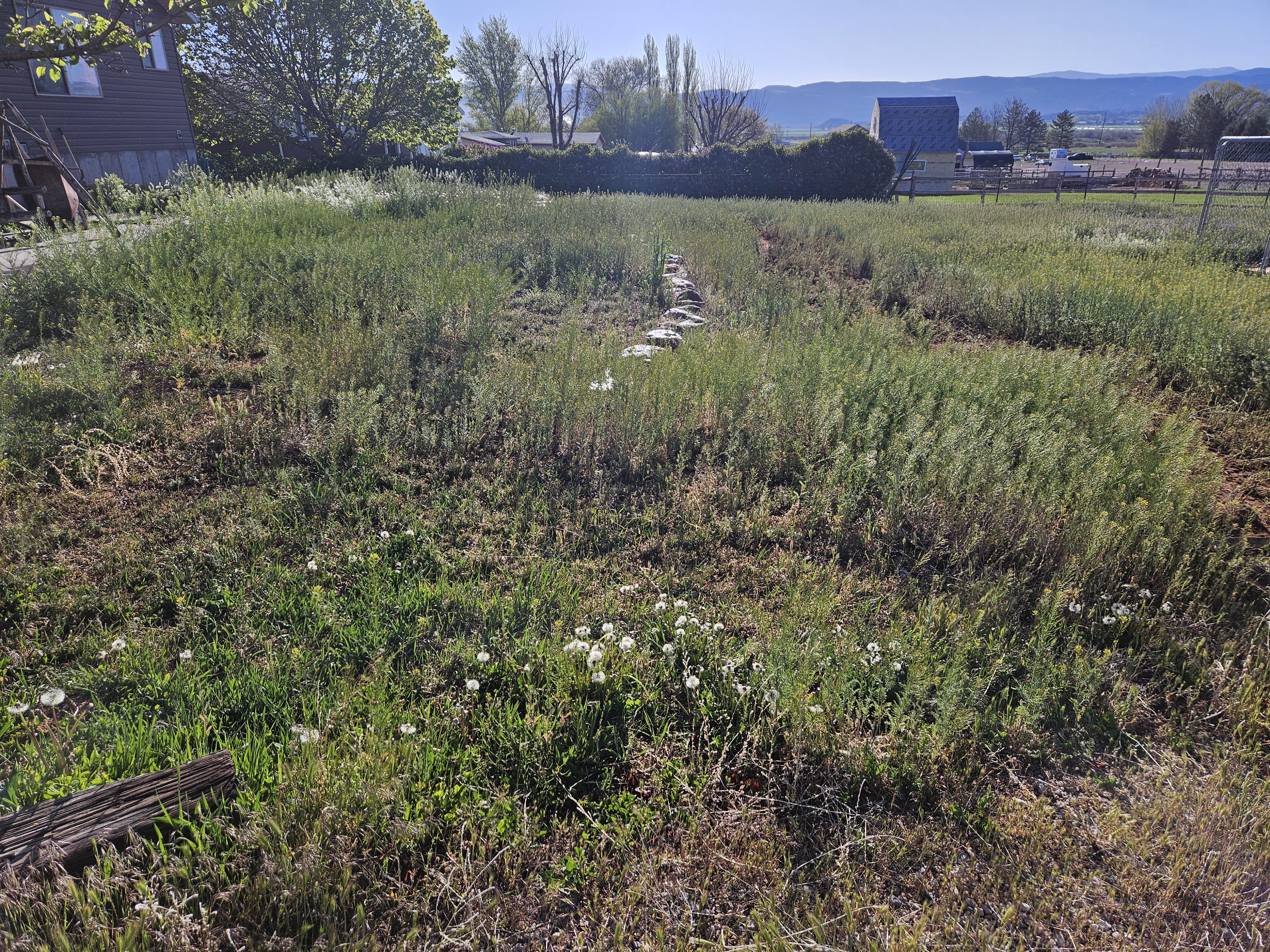 Project completed for Marcus H. — Commercial Landscaping