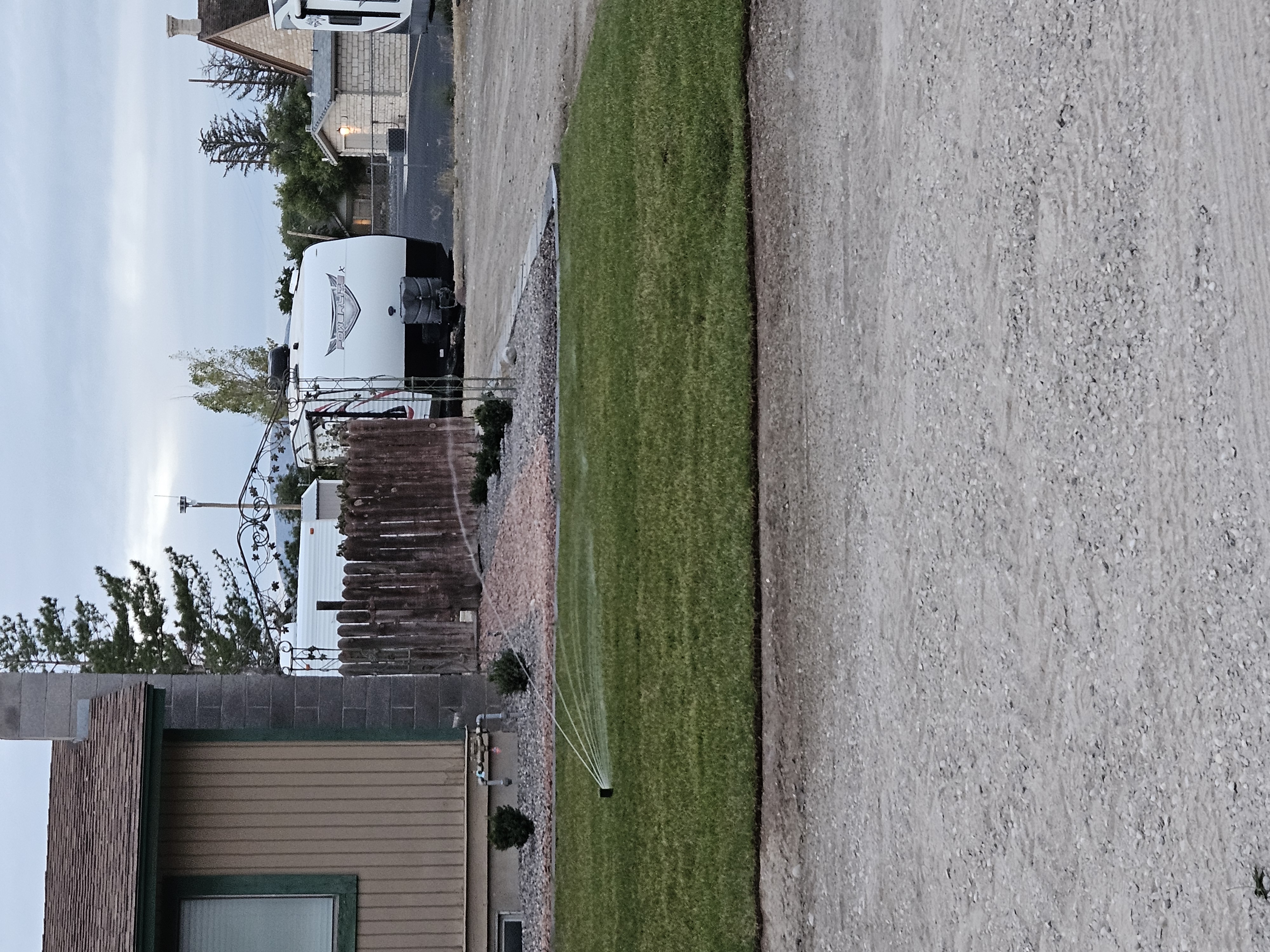 Drip emitter irrigation installed around newly planted trees for establishment watering