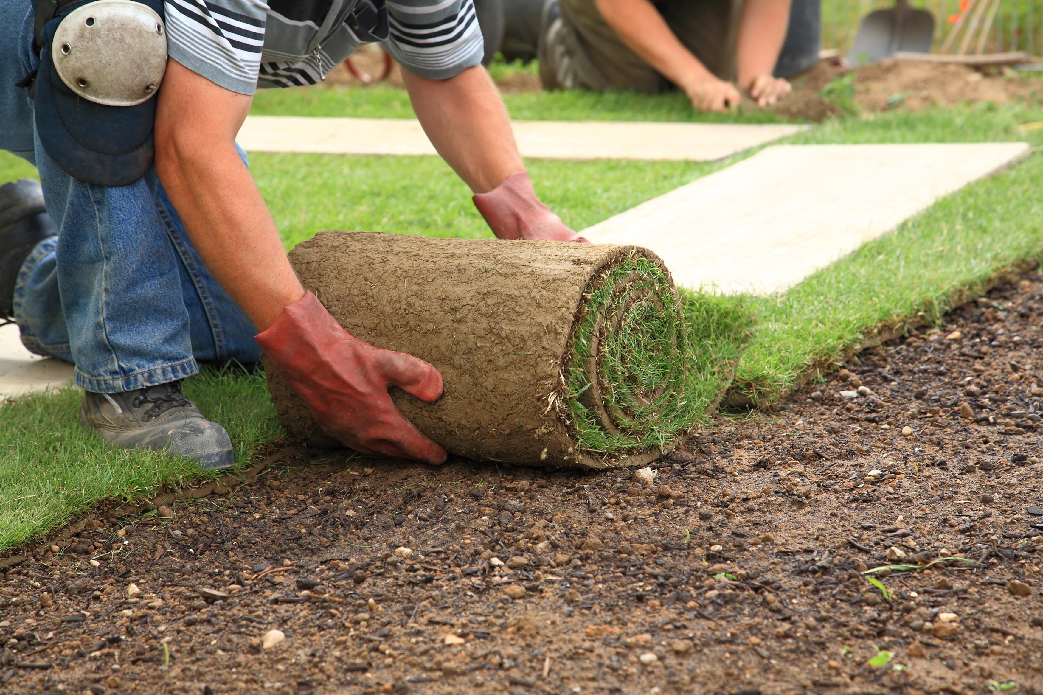 C&K Landscaping team on a beautiful landscaped property
