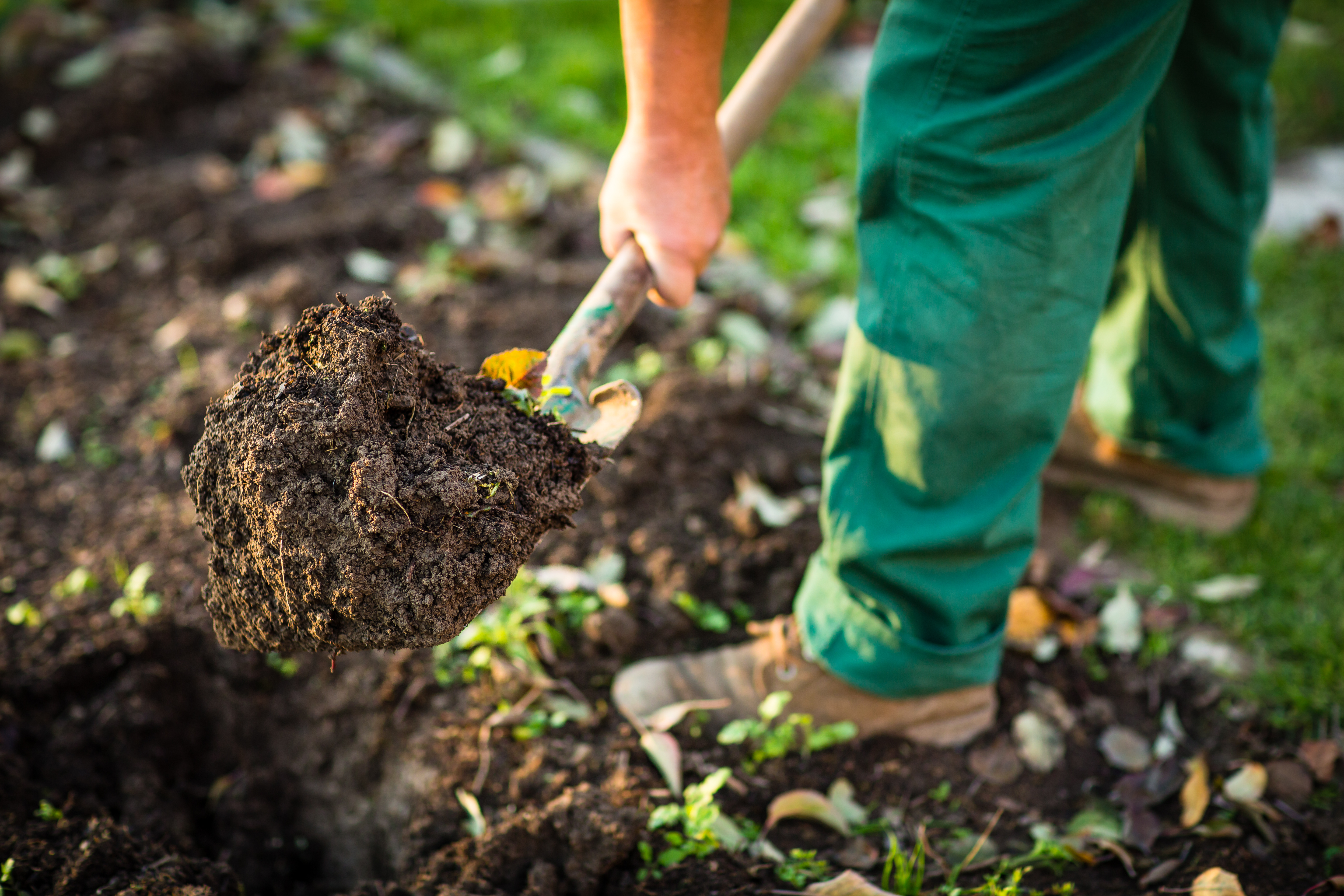 Close-up of healthy soil being prepared for a landscaping project